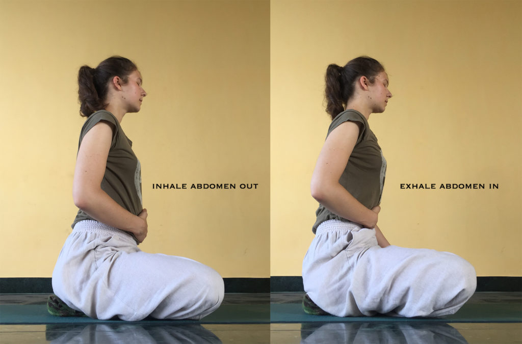 The Abdominal and Full Yogic Breath – Rainbow Life Yoga